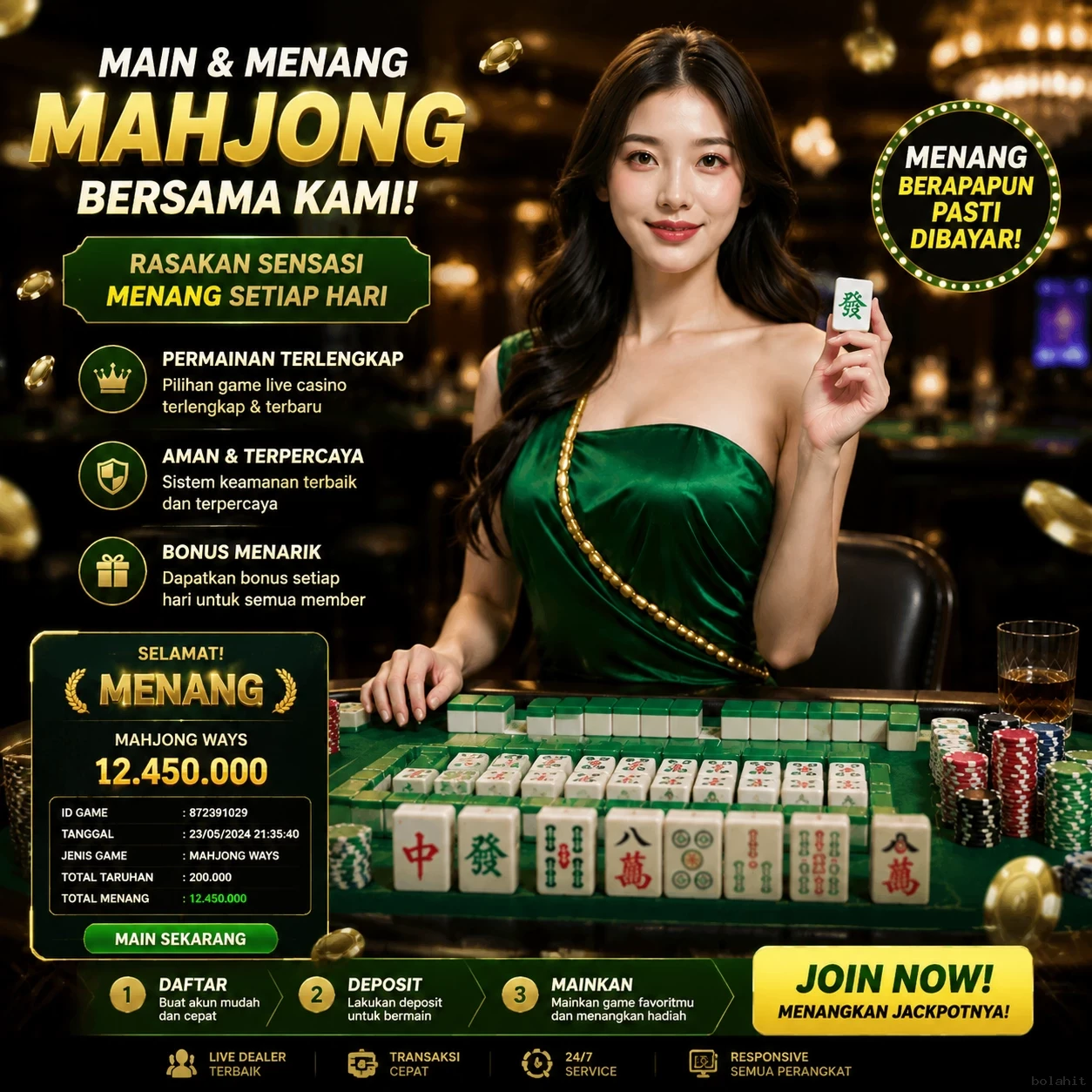 Troubleshooting bolahit